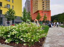  1-.   ,  Svitlo Park,  , 9/25-.  ,       14