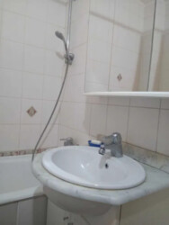   , ,   ., 43, .   5