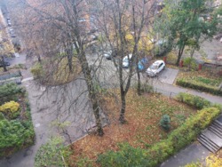  2- .    , .   41/22 (. ).      10