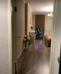   , ,  ., . 쳿  11