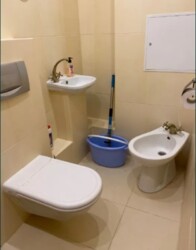   , ,  (),  ., 77, .   7