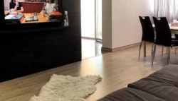 Сдается в аренду 4-х комнатная квартира на ул. Анны Ахматовой фото 4 Сдается в аренду 4-х комнатная квартира на ул. Анны Ахматовой фото 4