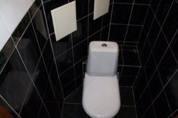   , , ,   ., .    3