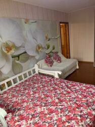 ������� �������� ��. �������, 8, �����, ���������, ����������, �. ����������, �. ��������� ���� 2