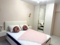 ������� �������� ���, ����������, ���������� ����� ��. ���� 7