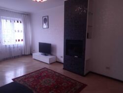 ������� �������� ���, ������������, ������ ������� ��., 5, �. ��쳿����� ���� 11