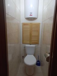 ������� �������� ��������������, 113, �����, ���������, ������������, �������� ���� 7