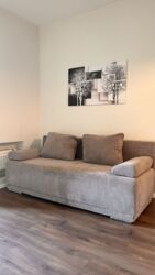 ������� �������� ���, �����������, �. ������� ���� 10