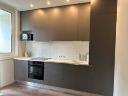 ������� �������� ������� ������ ��., 12, ���, �����������, �. ������� ���� 7