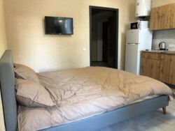 ������� �������� ����������� ��., 295, �����, ���������, �������������, ������� ����, �. 23 ������ ���� 1