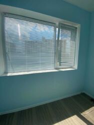 ������� �������� ���������, �����, �������������, ������� ����, ������� ����� ���., 22, �. ���������� ��� ���� 11