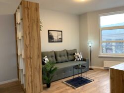 Здається квартира Київ, Печерський, Киквидзе ул., 17 фото 2 Здається квартира Київ, Печерський, Киквидзе ул., 17 фото 2