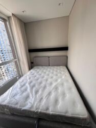 ������� �������� ���, ����������, ����������� ���������� ���� 12