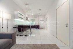 ������� �������� ����������� ������� ��., 9, ���, ����������, �. ������ ������ ���� 9