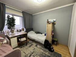 ������� �������� ����-��������, 41�, ���, ������������, �. ����������� ���� 6