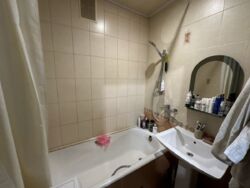 ������� �������� ����-��������, 41�, ���, ������������, �. ����������� ���� 12