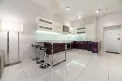 ������� �������� ����������� ������� ��., 9, ���, ����������, �. ������ ������ ���� 4