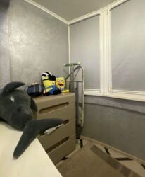 ������� �������� ���, �����������, �������, 2�, �. ������� ���� 10