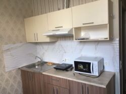 ������� �������� ������ ��������, 118, �����, ���������, ����������, �. ����������, �. ��������� ���� 7