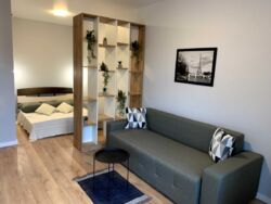 Здається квартира Київ, Печерський, Киквидзе ул., 17 фото 1 Здається квартира Київ, Печерський, Киквидзе ул., 17 фото 1