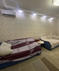 ������� �������� ���, �����������, �������, 2�, �. ������� ���� 8