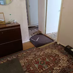 ������� �������� ���������, �����, �������������, ����������, �. ���������� ���� 5