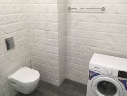 ������� �������� �����, ���������, ���������� ���� 11