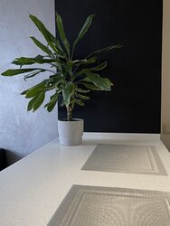 ������� �������� ���, ������������, ������������ ������� �����. (��������������), 4�, �. ��������� ���� 13