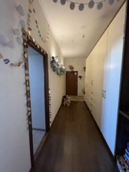 ������� �������� ���������, �����, ������������, ���������� �������, ������ �������� ��. (���������� ��.), 131, �. ��������� ������ ���� 12