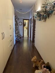 ������� �������� ���������, �����, ������������, ���������� �������, ������ �������� ��. (���������� ��.), 131, �. ��������� ������ ���� 10