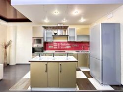 ������� �������� ���������, �����, ������������, ��������, ���� �������� ��., 41/2, �. ������ ���� 7