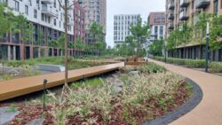 ������� �������� ���, ���������� ���� 12