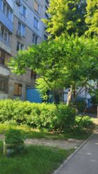 Здається квартира Харківська, Харків, Салтівський (Московський), Салтовка 607 м/р, Гвардейцев-Широнинцев ул., 40, м. Салтівська фото 14 Здається квартира Харківська, Харків, Салтівський (Московський), Салтовка 607 м/р, Гвардейцев-Широнинцев ул., 40, м. Салтівська фото 14