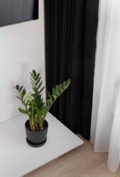 ������� �������� ���, ������������� ���� 13