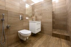 ������� �������� ����������� �����, 5/2, �����, ���������, ������������, �������� ���� 7