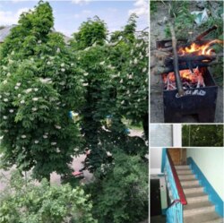 Здам кімнату з підселенням однієї дівчини/жінок р-он Вокзальної фото 3 Здам кімнату з підселенням однієї дівчини/жінок р-он Вокзальної фото 3