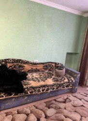 ����������� �������� ���� 1