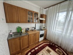 Здаю 1 кімнатну квартиру вул.Павліченко фото 3 Здаю 1 кімнатну квартиру вул.Павліченко фото 3