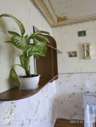 ������� �������� �����, ³�����, ³�������, �������� ���� 4