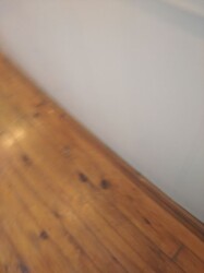 ������� �������� ³�����, ³�������, �������� ���� 5