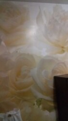 ������� �������� ³�����, ³�������, ������ ���� 5