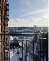 ������� �������� ³�����, ³�������, �����, �� Central Park ���� 8