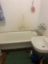 ������� �������� ³�����, ³�������, ������� ���� 3