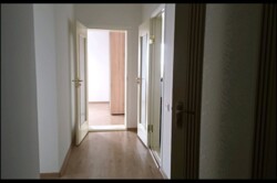 ������� �������� ³�����, ³�������, ������� ���� 11