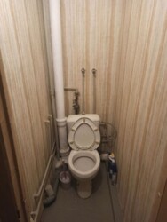 ������� �������� ³�����, ³�������, ������ ���� 11