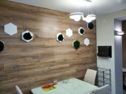 ������� �������� ³�����, ³�������, ������ �������, �� ѳ������ ���� 12