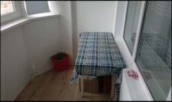 ������� �������� ³�����, ³�������, ������� ���� 8