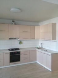 ������� �������� ³�����, ³�������, ������ ������� ���� 8