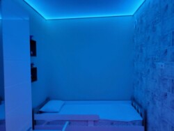 ������� �������� ³�����, ³�������, ������ �������, �� ѳ������ ���� 8