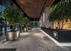     Tetris Hall, . , 2  16